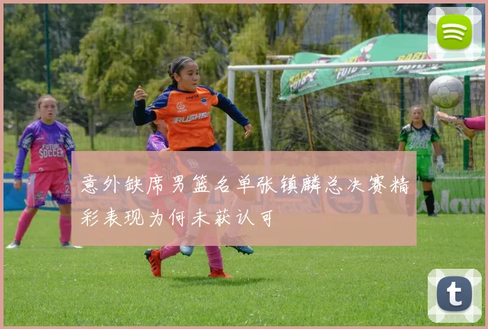 意外缺席男篮名单张镇麟总决赛精彩表现为何未获认可